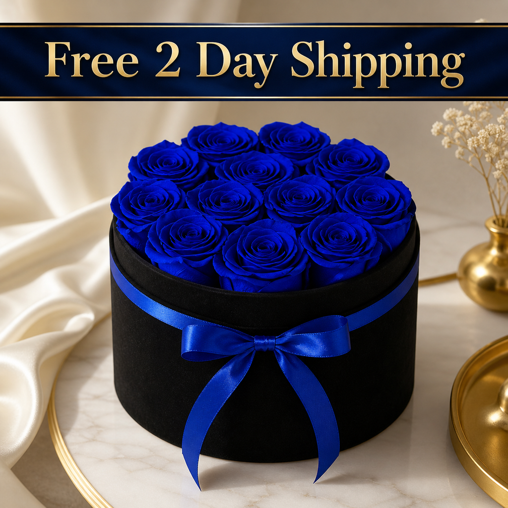 Luxury Blue Forever Rose Gift Box – 12 Real Preserved Roses in Black Velvet Box | Romantic Gift for Wife, Mom, Birthday, Anniversary, Valentine’s Day